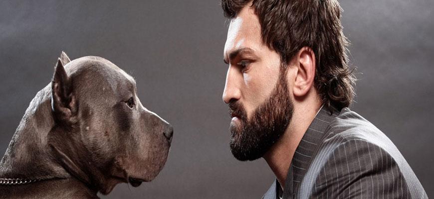 ANDREI ARLOVSKI MAKES UFC RETURN - FightstorePro