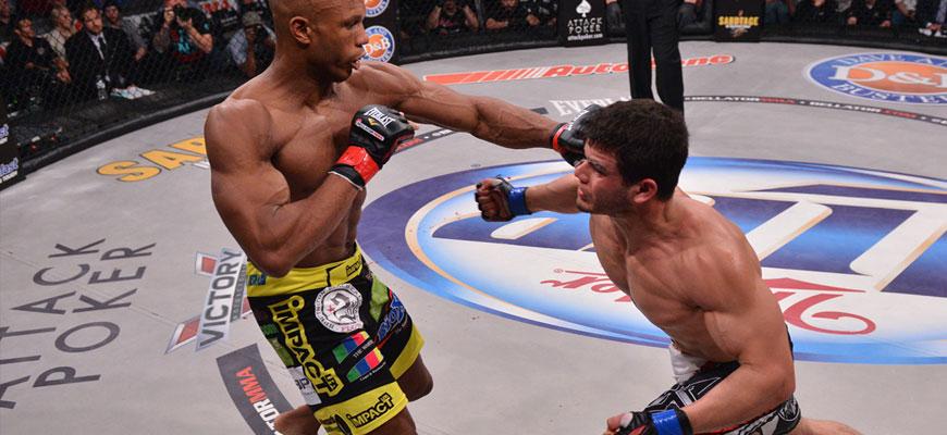 Interactive Fighter - Linton The Swarm Vassell - FightstorePro