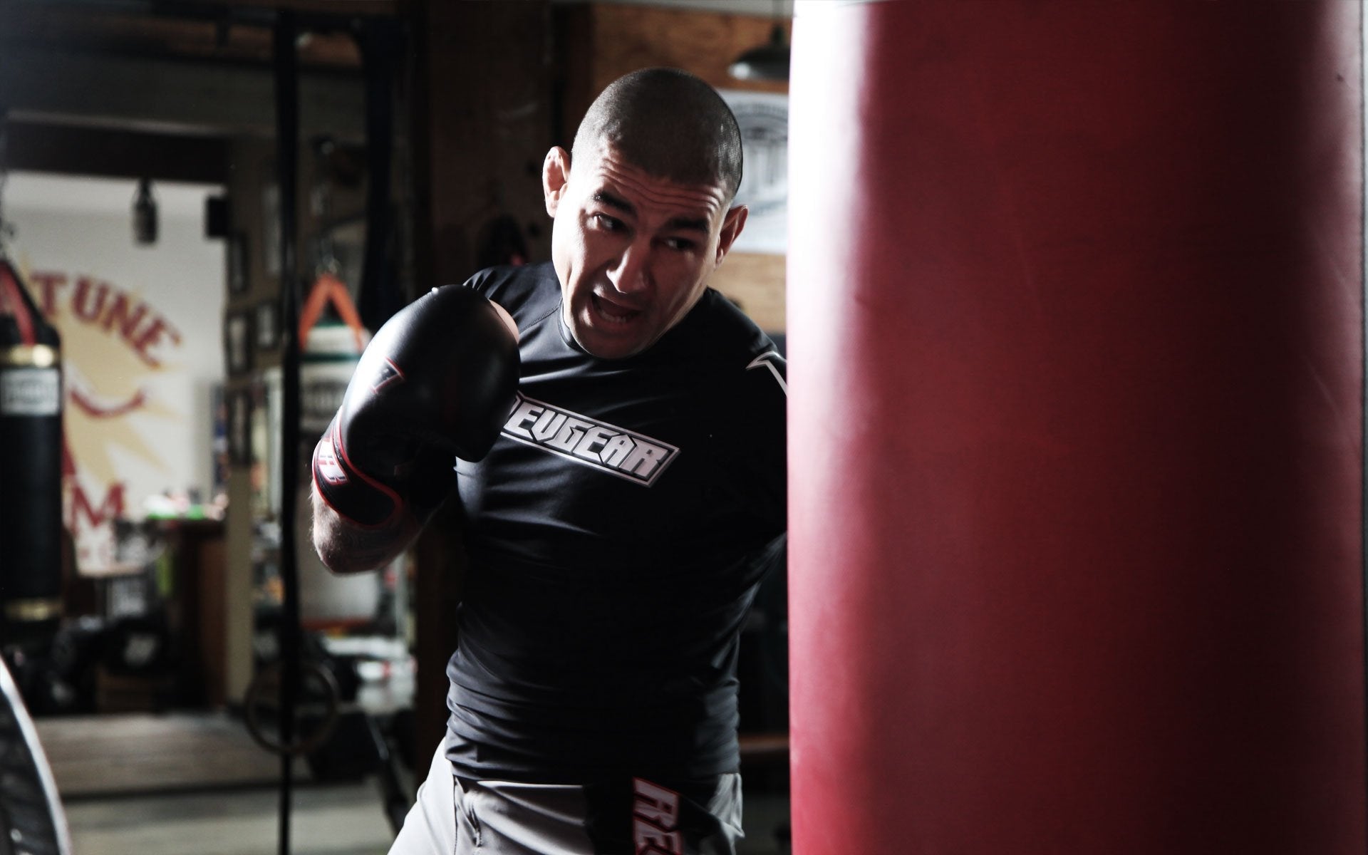 Which fight gloves should I buy for Hitting Heavy Bags & Pads? - FightstorePro