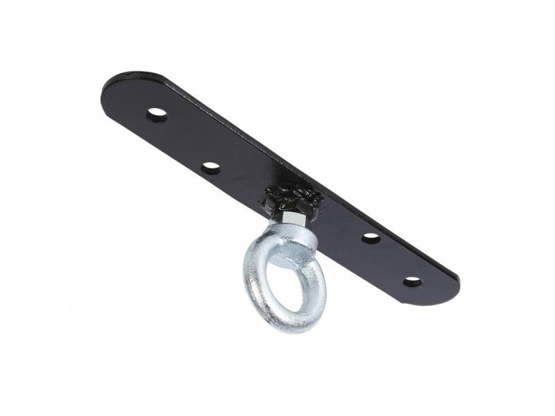 PRO BOX - Colossus Ceiling Hook - FightstorePro