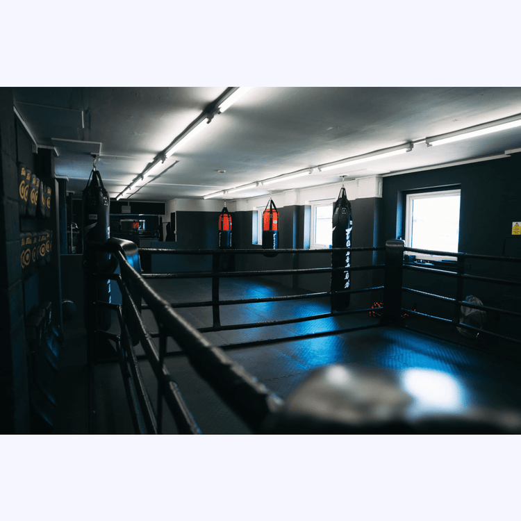 PRO FLOOR MOUNTED RING - FightstorePro