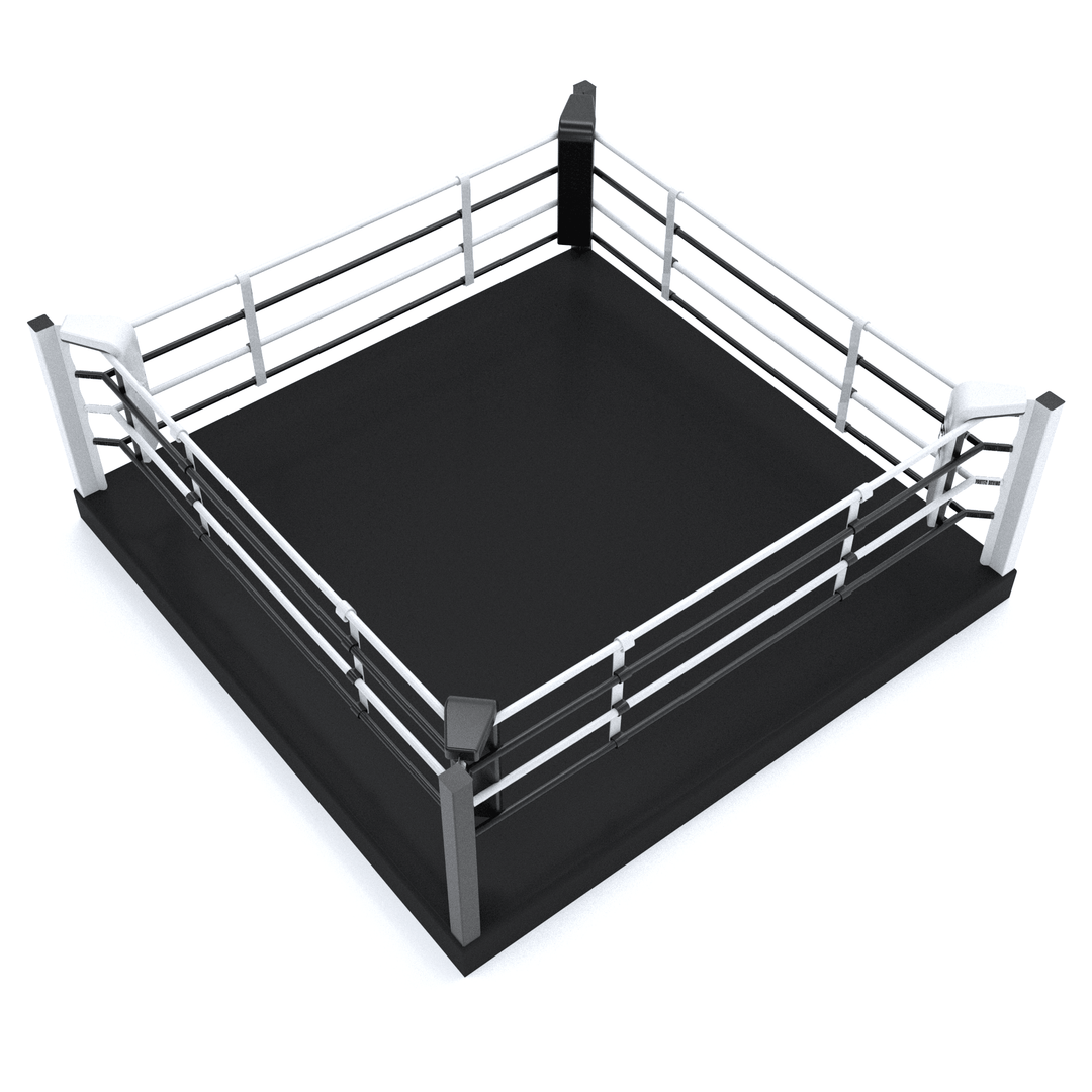 REVGEAR - Close Up Training Ring - FightstorePro