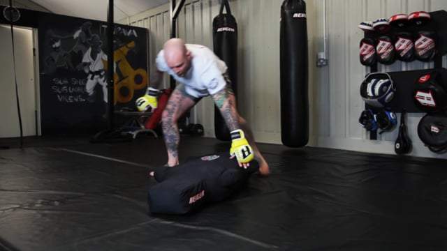 REVGEAR - Motion Master Grappling Dummy - FightstorePro