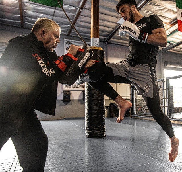 REVGEAR - Stealth Hybrid Fight Shorts - 1.0 - Colours Collection - FightstorePro