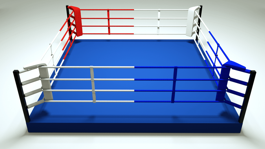 ROCKSOLID - Elevated Training Ring - FightstorePro