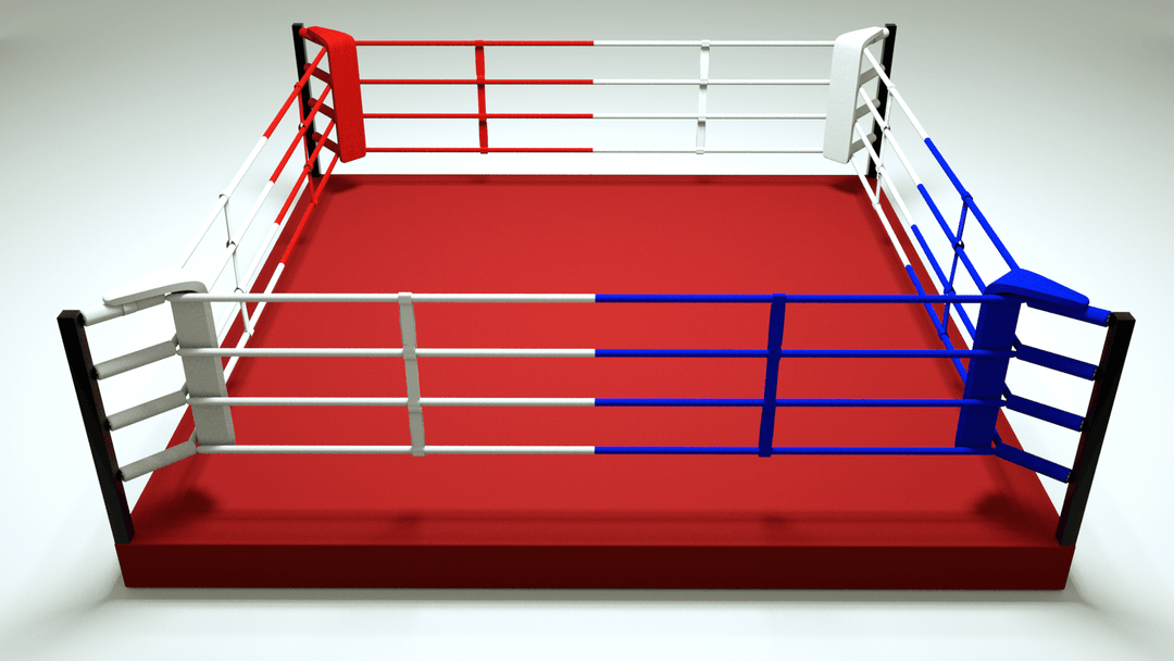 ROCKSOLID - Elevated Training Ring - FightstorePro