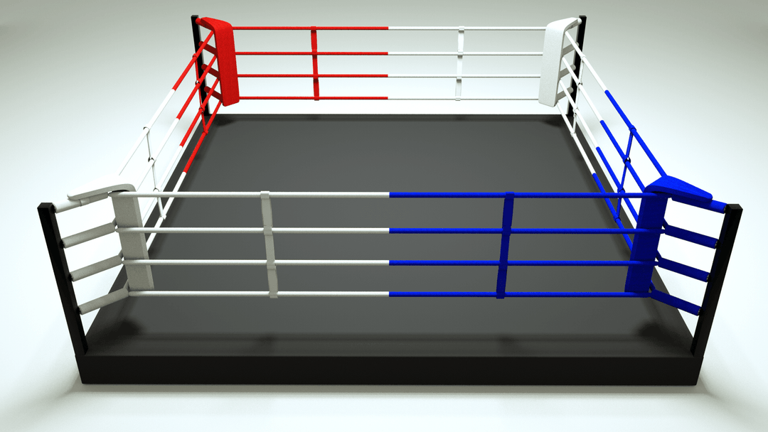 ROCKSOLID - Elevated Training Ring - FightstorePro
