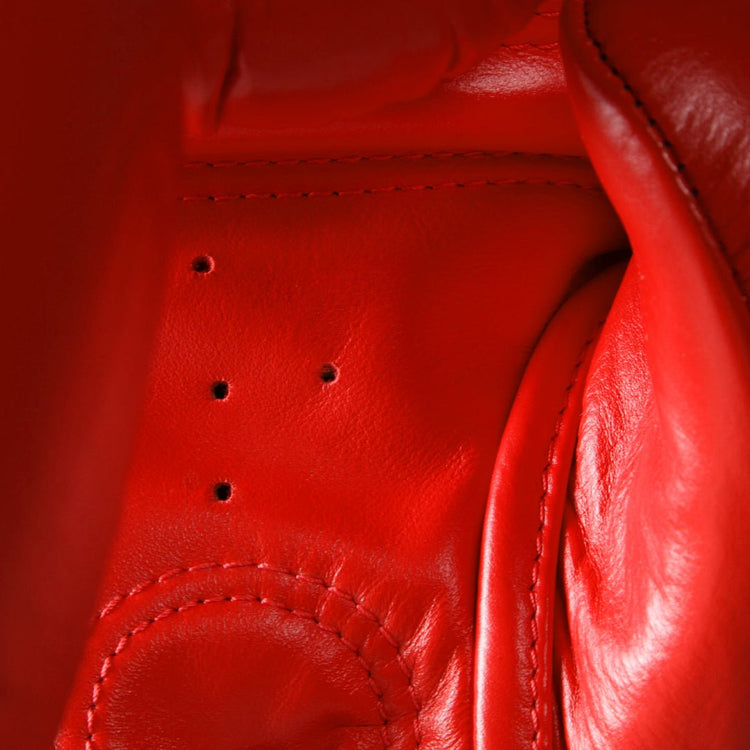 Raja Standard Leather Boxing Gloves - FightstorePro