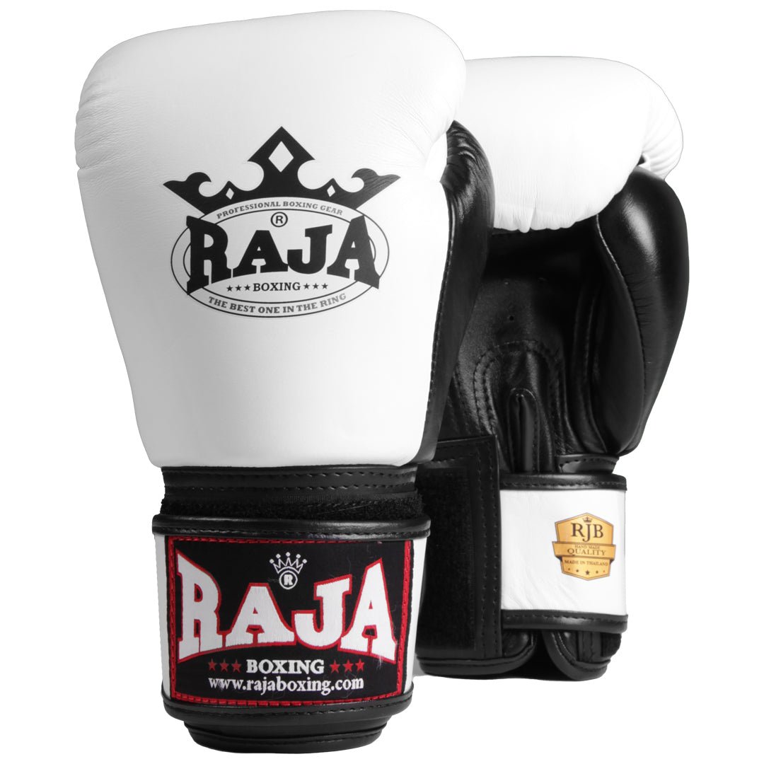Raja Standard Two Tone Leather Boxing Gloves - FightstorePro