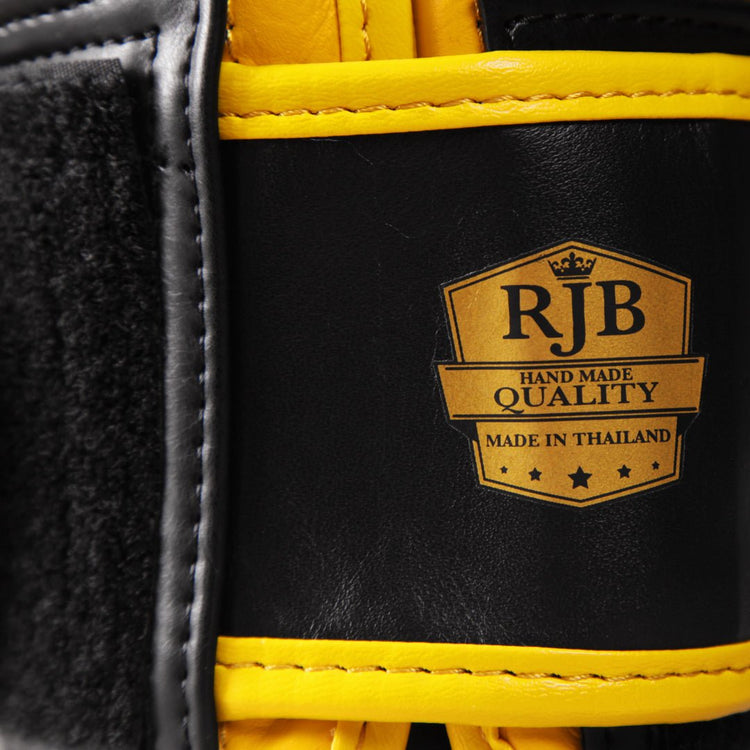 Raja Standard Two Tone Leather Boxing Gloves - FightstorePro