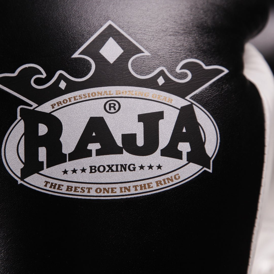 Raja Standard Two Tone Leather Boxing Gloves - FightstorePro