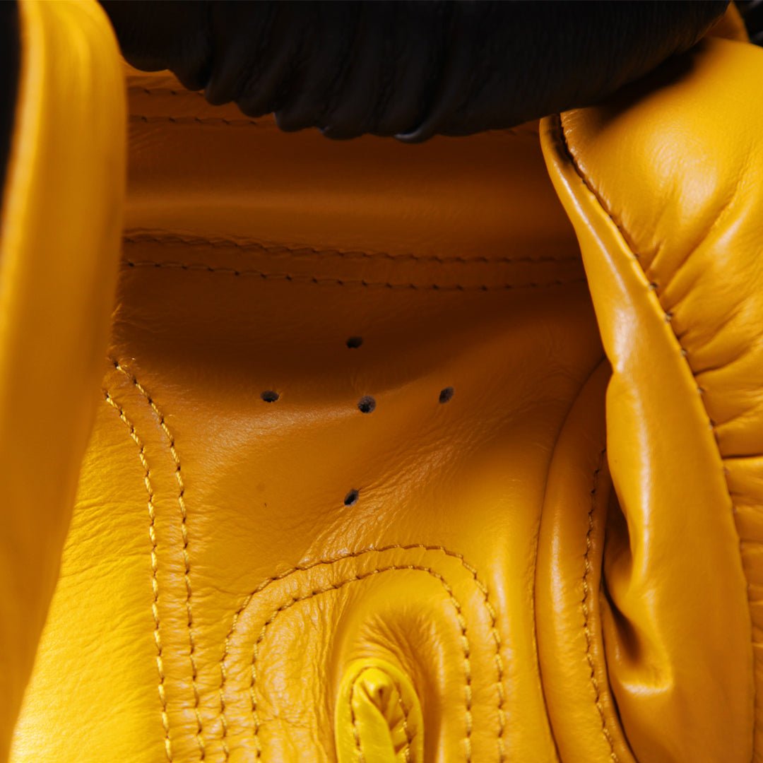 Raja Standard Two Tone Leather Boxing Gloves - FightstorePro