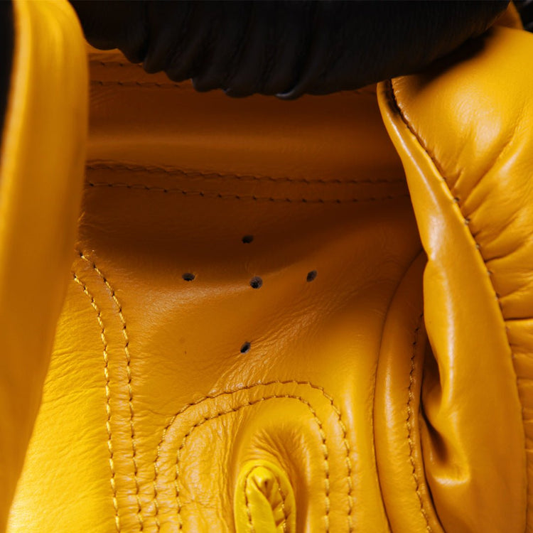 Raja Standard Two Tone Leather Boxing Gloves - FightstorePro