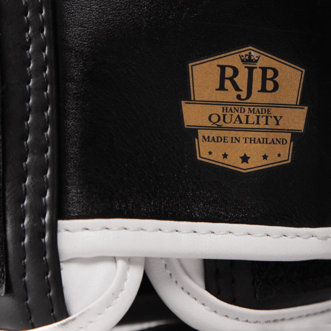 Raja Standard Two Tone Leather Boxing Gloves - FightstorePro