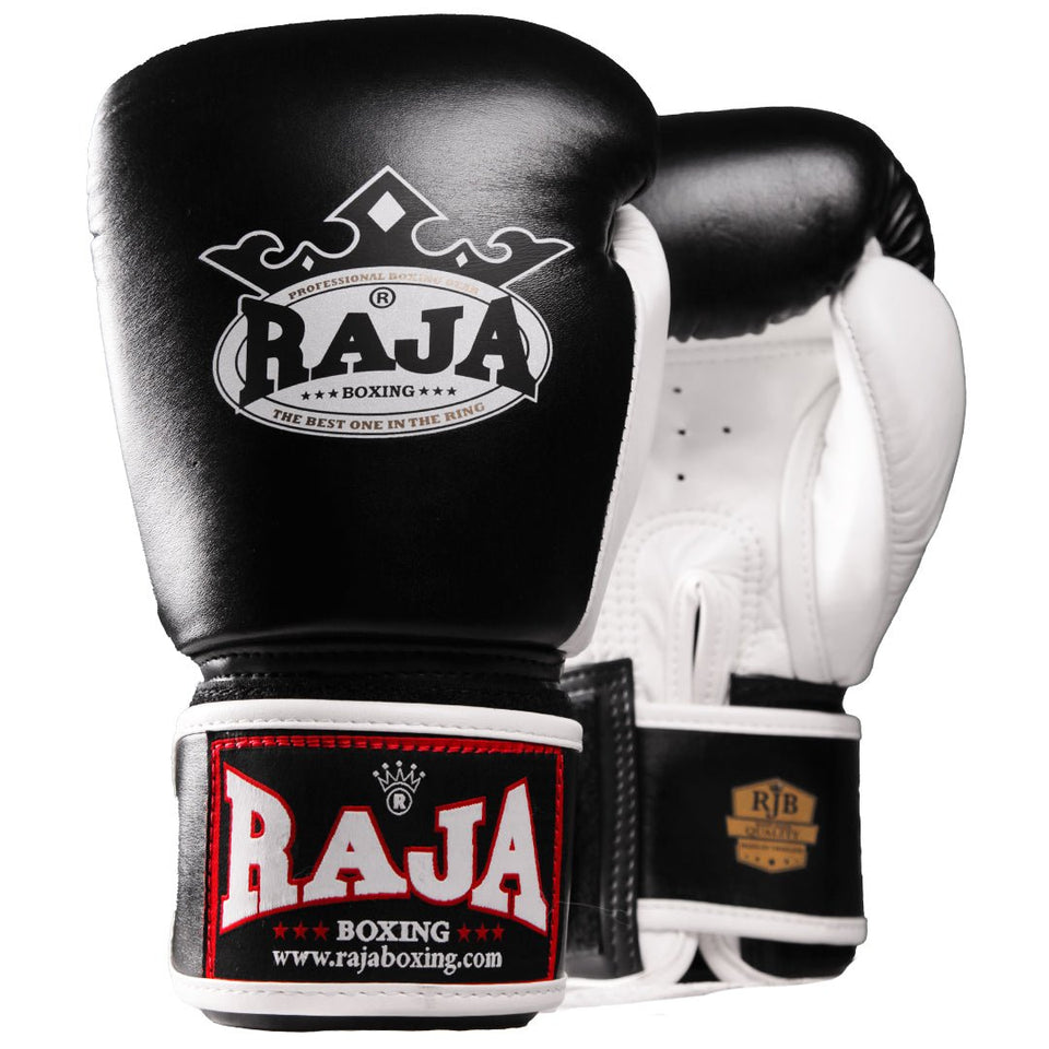 Raja Standard Two Tone Leather Boxing Gloves - FightstorePro