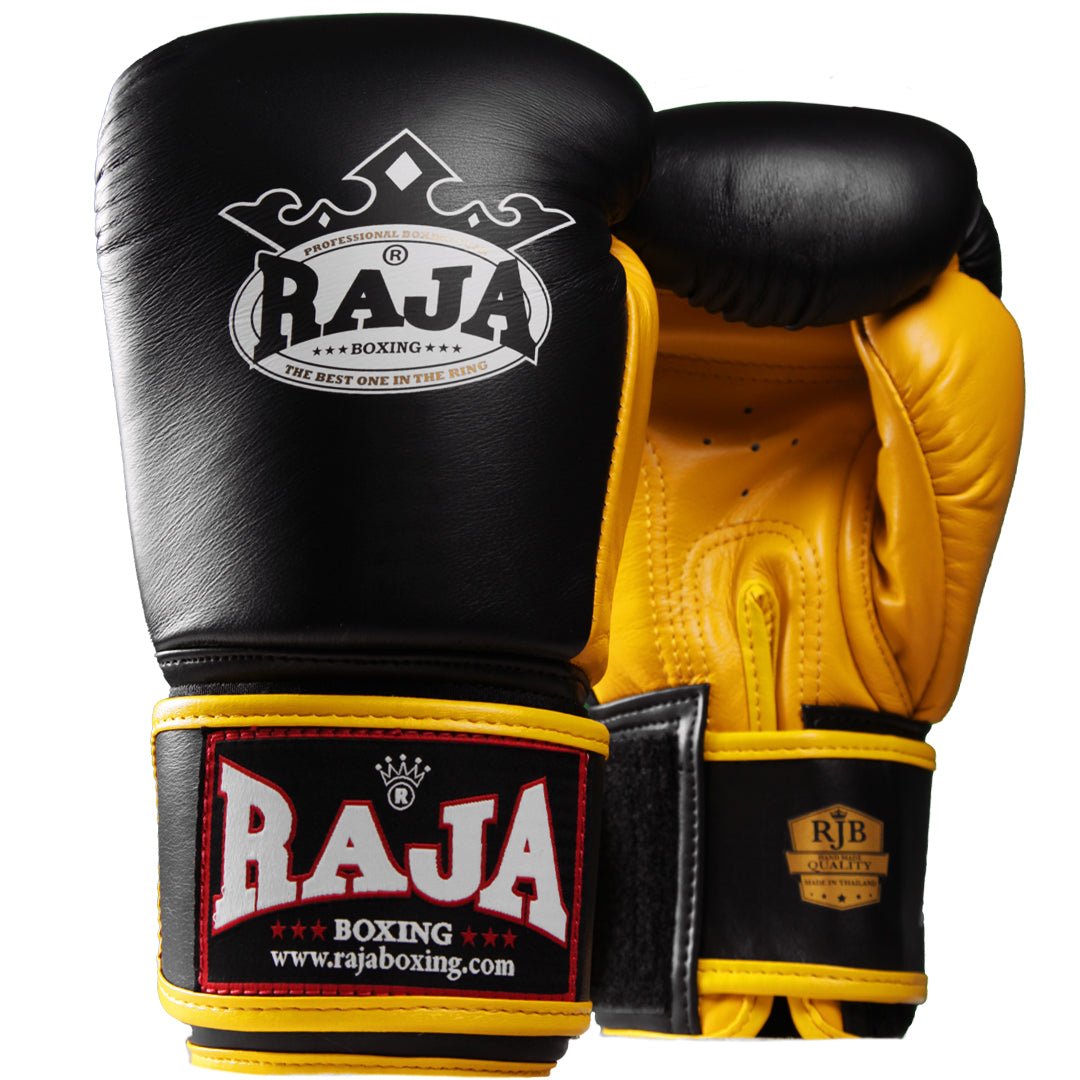 Raja Standard Two Tone Leather Boxing Gloves - FightstorePro