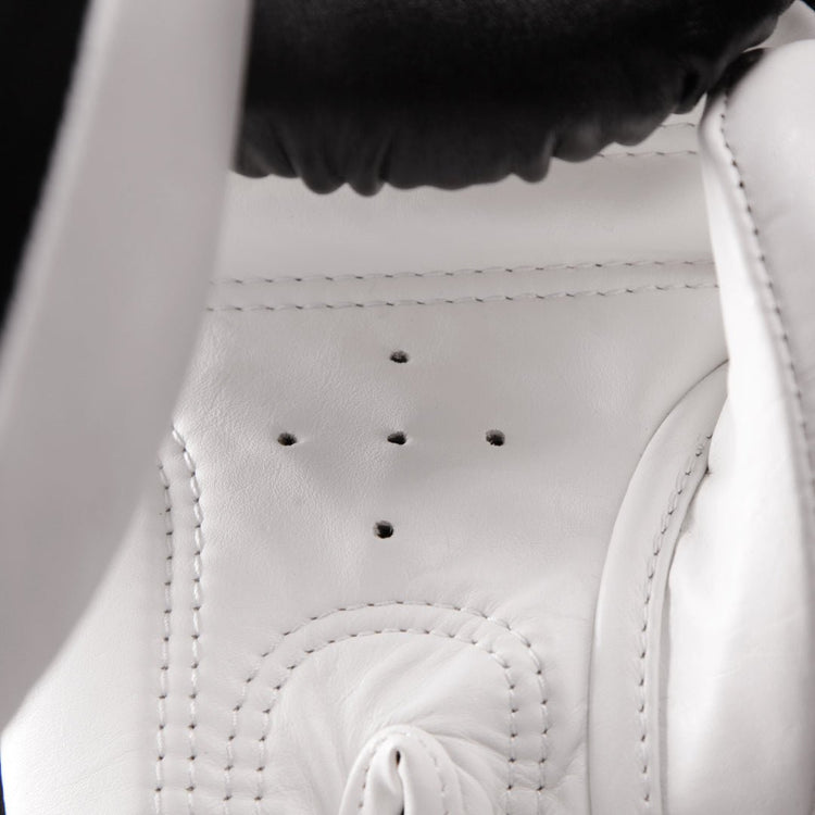 Raja Standard Two Tone Leather Boxing Gloves - FightstorePro