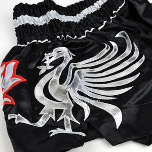 TWS-153 Twins Black-Silver Muaythai Shorts - FightstorePro